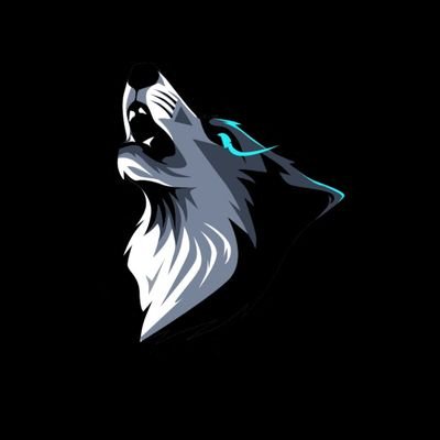 Profile Picture of Lucas Wittman (@lucas_wittman) on Twitter