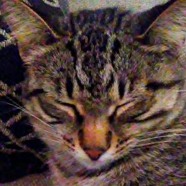 Profile Picture of Ashlee Rivers (@AshleeRivers20) on Twitter