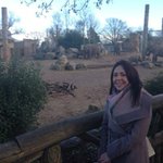 Profile Picture of Randy Castleman (@dycastlemand89c) on Instagram