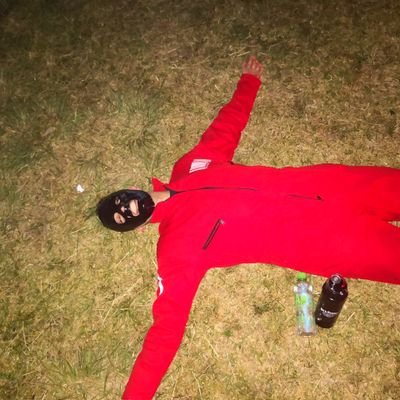 Profile Picture of Dave Martini (@David_Bello) on Twitter
