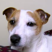 Profile Picture of Luc Trudel (@luctrudel863) on Youtube