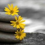 Profile Picture of Sarah Lockner (@loeckchen.sarah) on Instagram