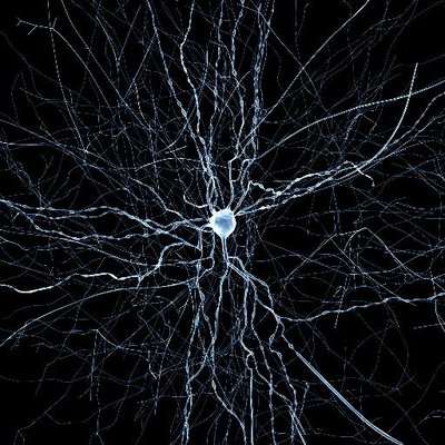 Profile Picture of Daniel Schor (@DanielSchor) on Twitter