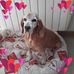 Profile Picture of Shirley Forrest (@shirley.forrest.5621) on Facebook