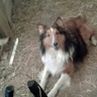 Profile Picture of David Arnone (@david-arnone-7) on Quora
