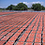 Profile Picture of Pomodorisecchi.com (@pomodorisecchi.com) on Flickr