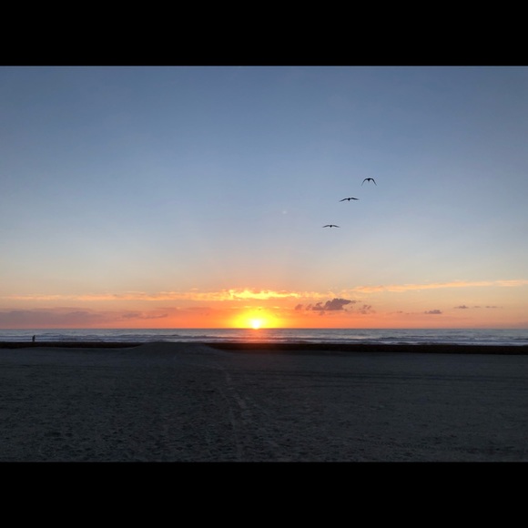 Profile Picture of Danny Rosengarten (@dannyrosen337) on Poshmark