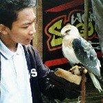 Profile Picture of Brian Jordison (@ariin13) on Instagram