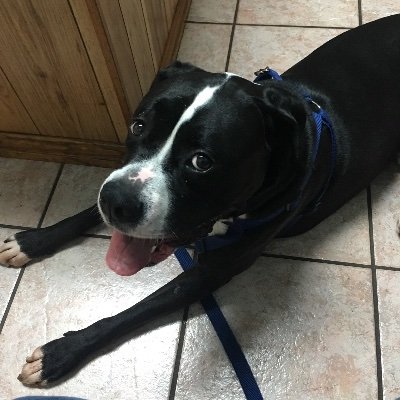 Profile Picture of Austin Spaulding (@AustinS92325858) on Twitter