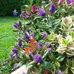 Profile Picture of GinaS (@ReginaSchoger) on Twitter