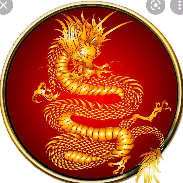 Profile Picture of legendary.dragon (@legendary.dragon) on Tiktok