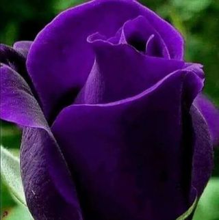 Profile Picture of Tamara Stainbrook (@tkstainbrook) on Facebook