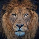 Profile Picture of Joseph & Joshua Pleasant (@twinfit.hbm) on Instagram