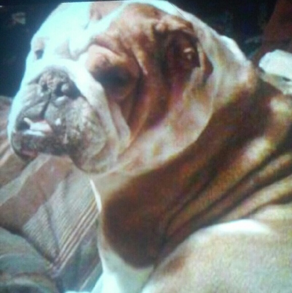 Profile Picture of Kim Earley (@kearley74) on Poshmark