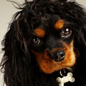 Profile Picture of Alison Place Stumpf (@alisonstumpf) on Pinterest