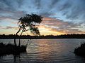 Profile Picture of Yanchepon Wikipedia