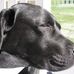Profile Picture of Mark Strohmeier (@mark.strohmeier.5) on Facebook