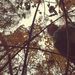 Profile Picture of Alexis Yoder (@yoderalexis37) on Pinterest