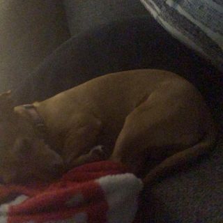 Profile Picture of Derrick Lathan (@derrick.lathan.7) on Facebook