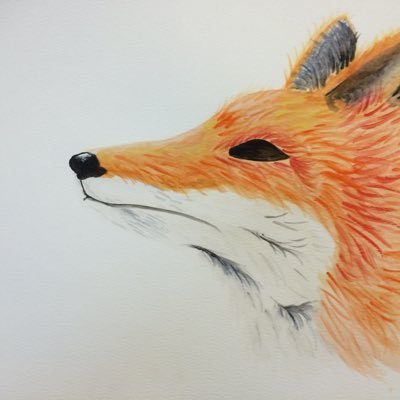 Profile Picture of Drew Gibson (@Garnet_Fox7) on Twitter