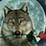 Profile Picture of Jerry Jones (@lonewolf1951) on Flickr