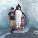 rodrigo_llamas - Instagram Profile Picture of rodrigo_llamas (@rodrigo_llamas) on Instagram