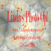 Profile Picture of Linda Swanson (@lindaswanson8648) on Youtube