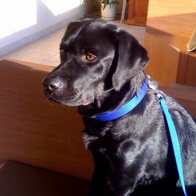 Profile Picture of James Schell (@JamesSchell) on Twitter