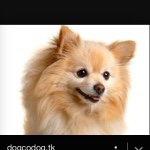 Profile Picture of Lilli Miller (@lilli_is_fantastic) on Instagram