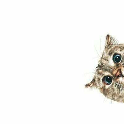 Profile Picture of Alejandro Mendizábal (@alex093105) on Twitter