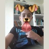 Profile Picture of davidmaslic (@@davidmaslic) on Tiktok