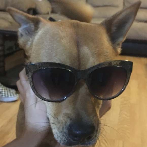 Profile Picture of Alex Middleton (@ilovebees314) on Poshmark