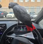 Craig Hayes - Facebook Profile Picture of Craig Hayes (@Craig-Hayes) on Facebook