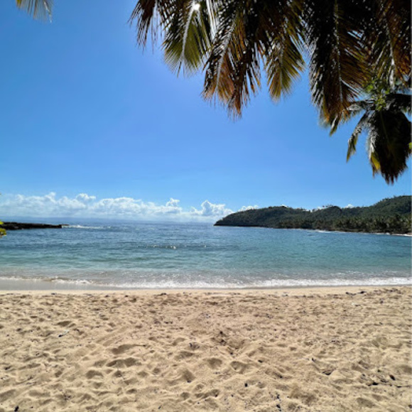 Profile Picture of Ivy Garcia (@garciayvi) on Poshmark