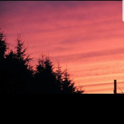 Profile Picture of Fiona Conroy (@FionaConroy2000) on Twitter
