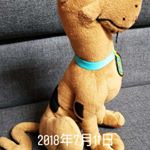 Profile Picture of Jim Shih (@jim.shih.31) on Instagram