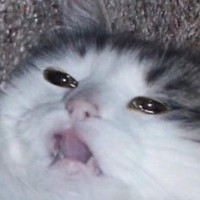 Profile Picture of Maya Diaz (@maya-diaz-15) on Quora