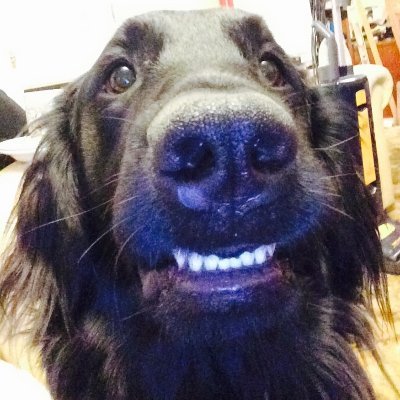 Profile Picture of John Howat (@@BfaJohn) on Twitter