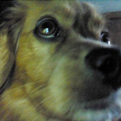 Steve Aldous - Twitter Profile Picture of Steve Aldous (@stevealdous31) on Twitter