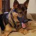 Profile Picture of William Stepp (@William-Stepp) on Facebook