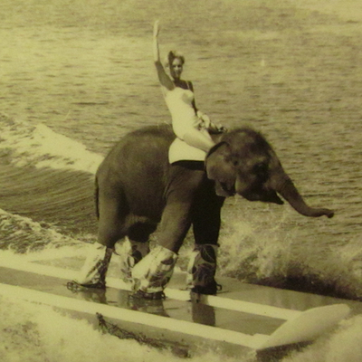 Profile Picture of Michael Swanberg (@MichaelSwanberg) on Twitter