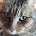 Profile Picture of Jacob Sylvie (@Jacob68358128) on Twitter