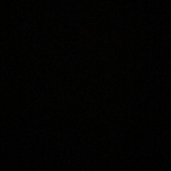 Profile Picture of Sarah Randisi (@srandi) on Poshmark