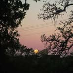 Profile Picture of Brett Cortright (@brett.cortright.18) on Facebook