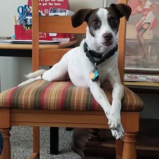 Profile Picture of Ben Robertson (@ben.robertson.16752) on Facebook
