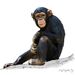 Profile Picture of Laureano Grisotto (@laureanogrisott) on Pinterest
