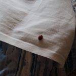 Profile Picture of lucia bracci (@bracci.lucia) on Instagram