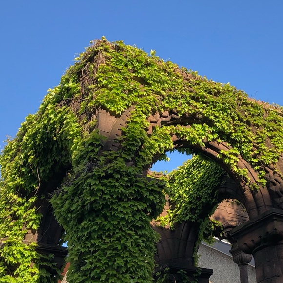 Profile Picture of Steven Louis (@lavanda133) on Poshmark