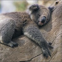 Profile Picture of Luke Hummell (@luke-hummell) on Quora