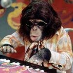 Profile Picture of Nick Spiess (@katieguljij2019) on Instagram